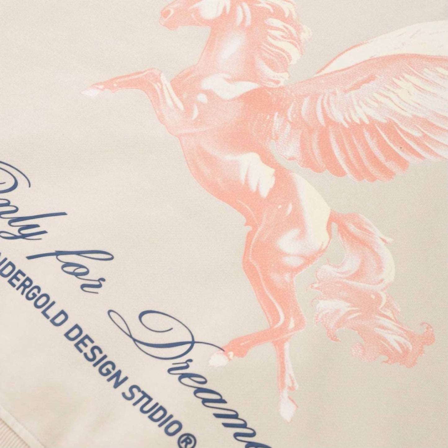 Undergold - Dreamers Pegasus Boxy Hoodie - Rack Hunt -