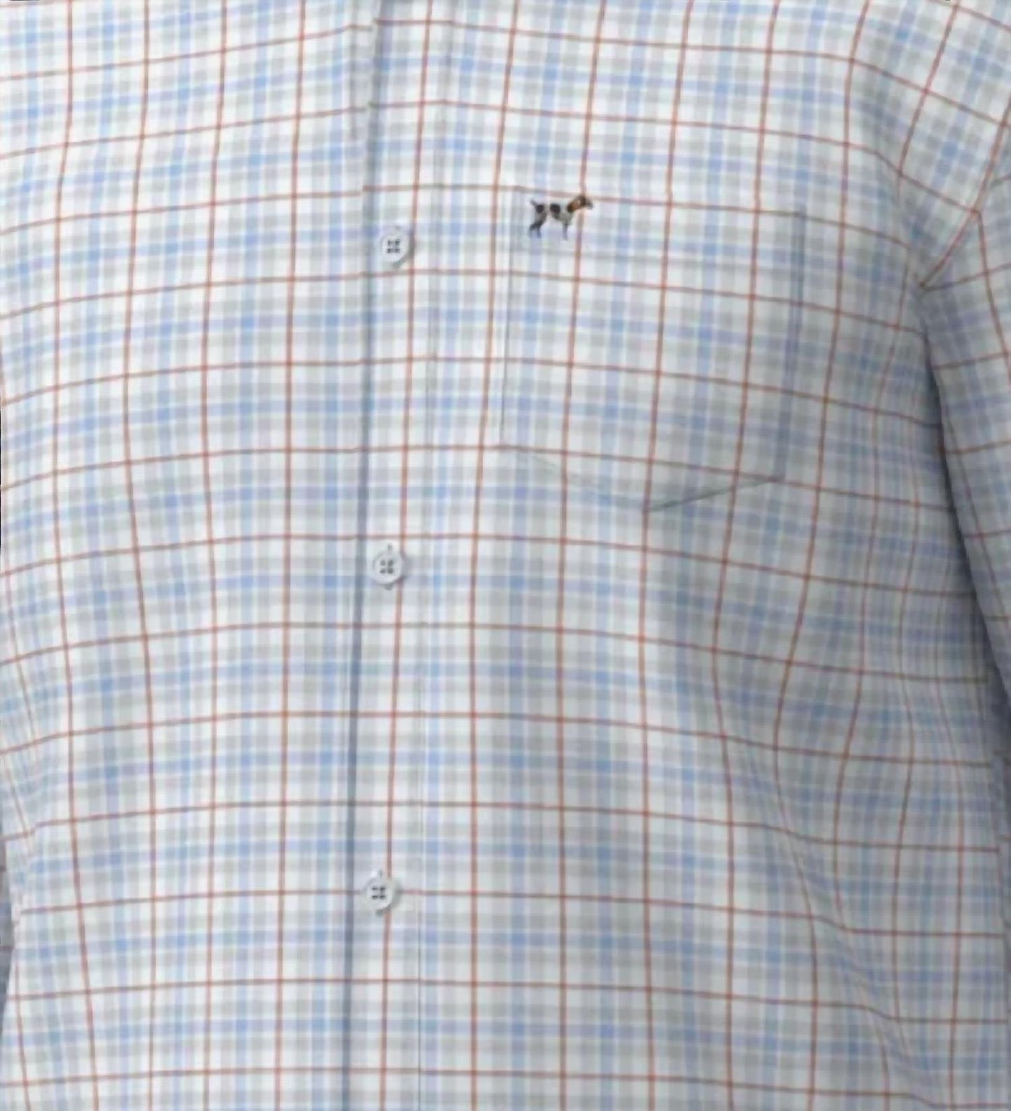 Boy's Hadley Luxe Button Down Shirt