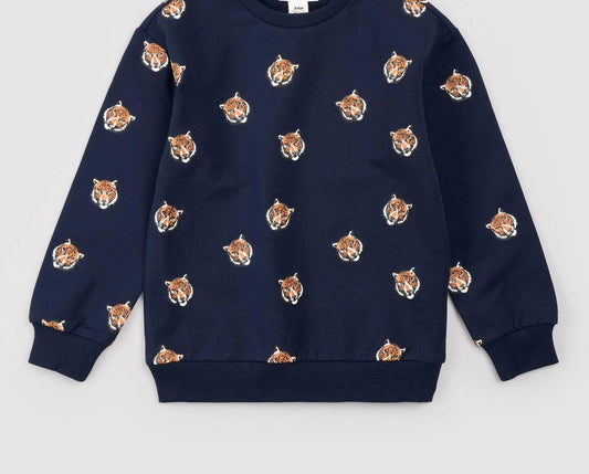 Boy's Long Sleeve Sweatshirt And Pant Set