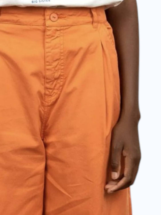 Pleated Trousers