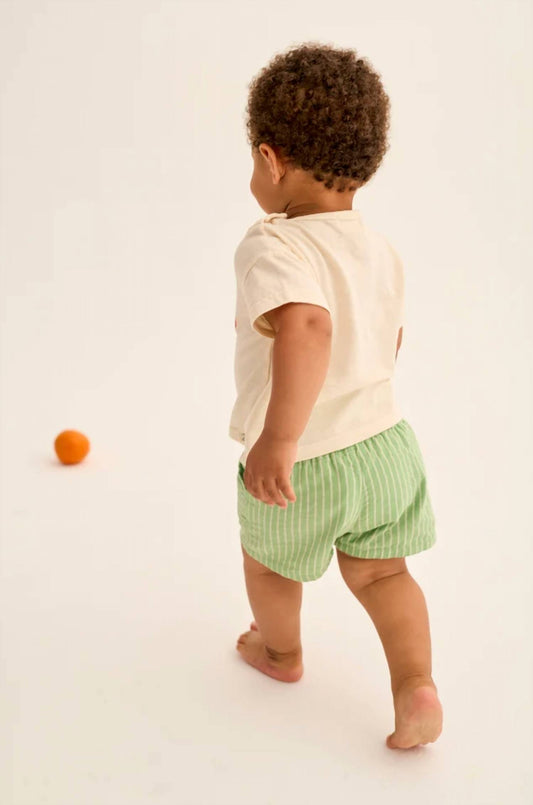 Boys Soft Slub Cotton Apple Print T- Shirt