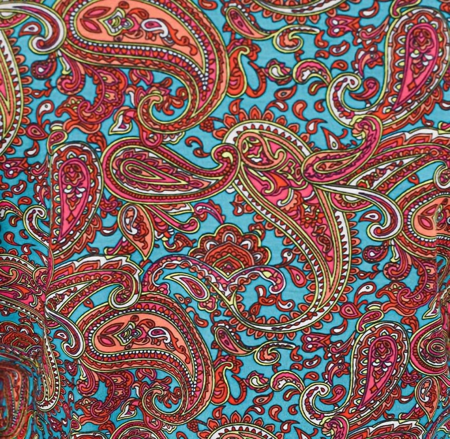 Cowgirl Tuff - Paisley Print Long Sleeve Top - Rack Hunt