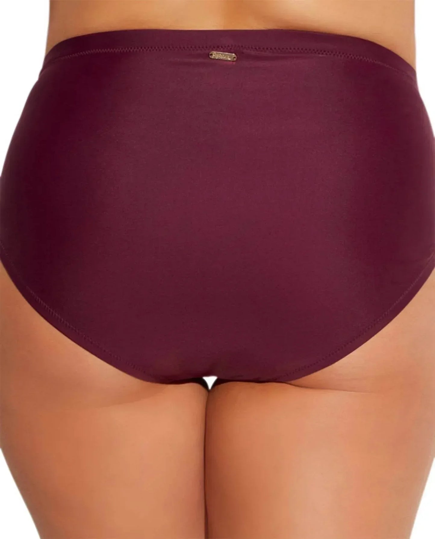 Raisins - Women's Curve Mid Rise Swim Brief - Plus - Rack Hunt