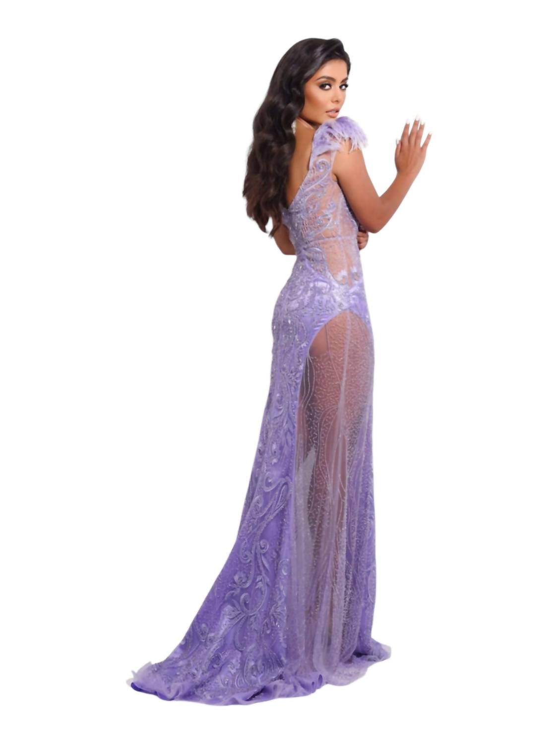 Feather Shoulder Beaded And Sequin Illusion Gown