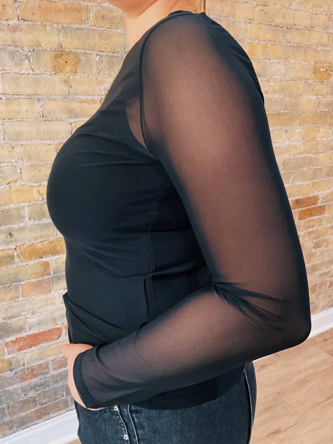 Sheer Long Sleeve Top