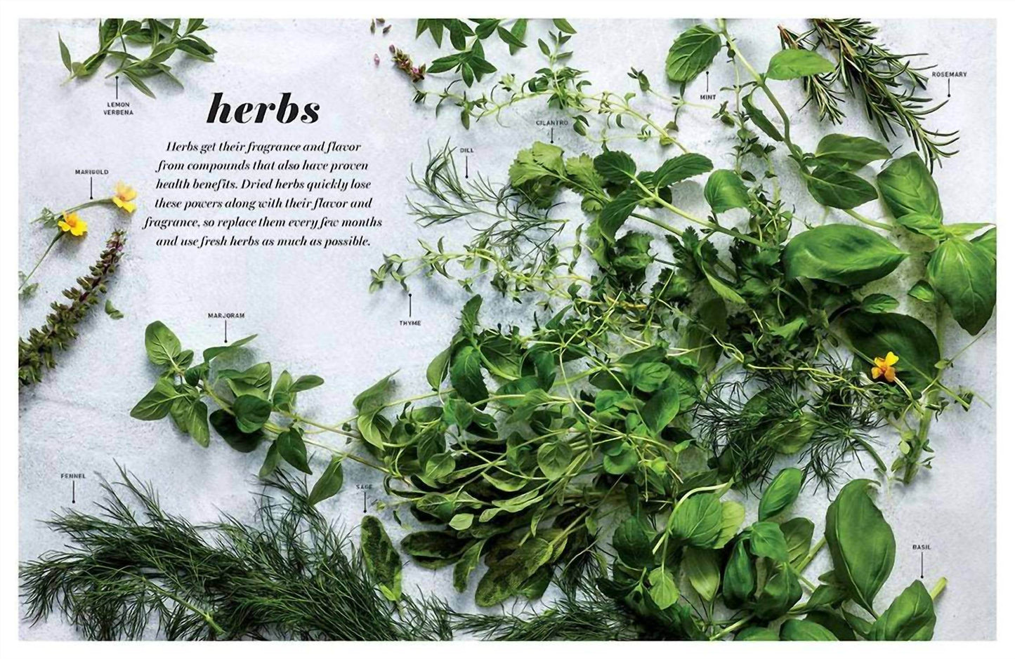 Insight Editions - Everyday Healthy Cookbook - Rack Hunt -