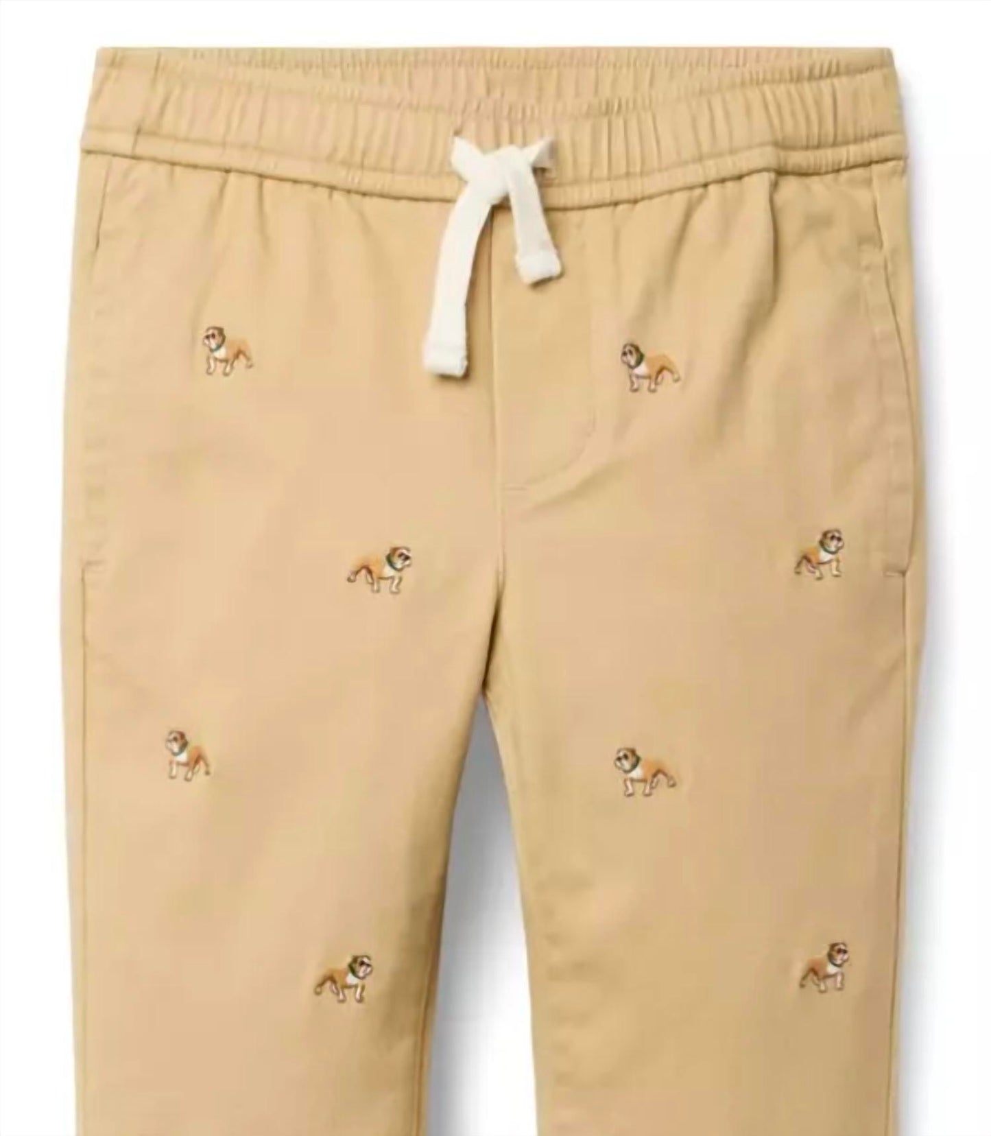 Boy's Dog Jogger