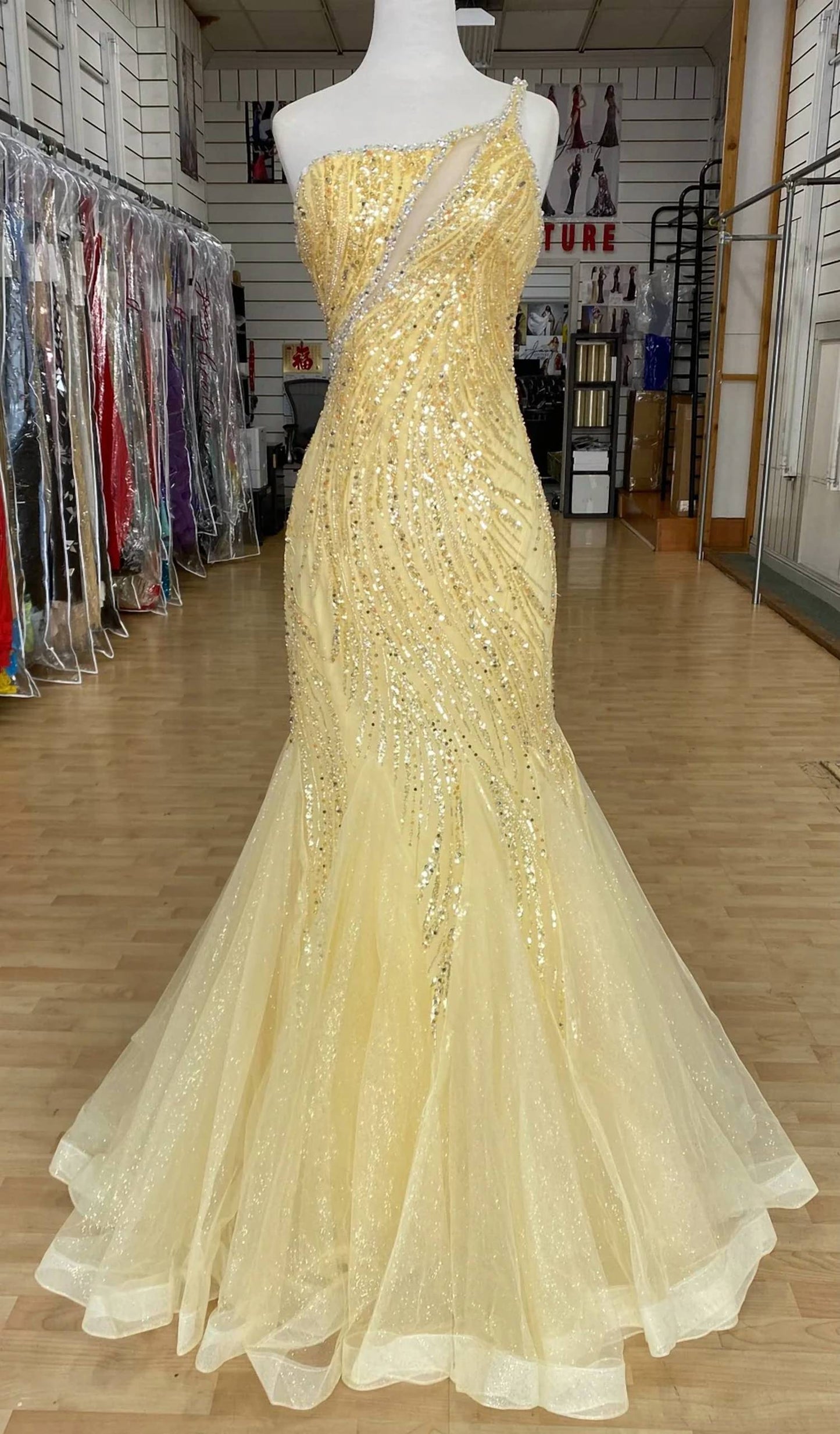 Women's Tulle Mermaid Dress With Beading
