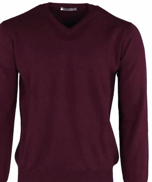 Pashmere - Men's Pure Cashmere V-neck Top - Rack Hunt