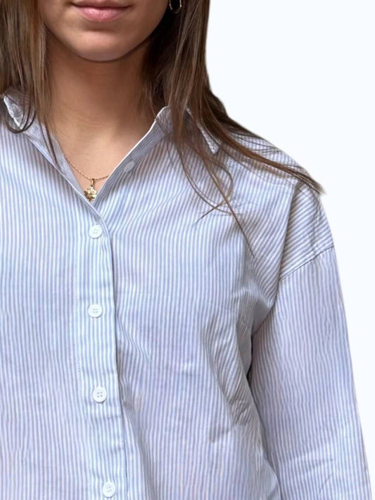 Pinstripe Button Down With Stripe Detail Shirt