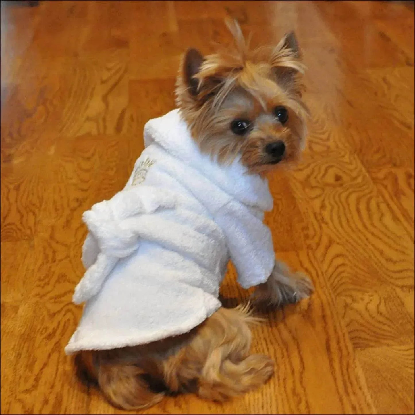 Doggie Design - Bathrobe Gold Crown - Rack Hunt