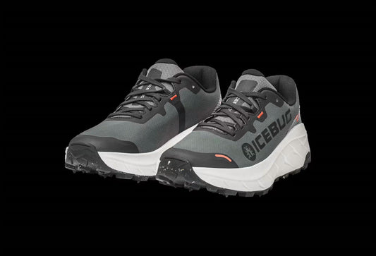 Women's Arcus 2 Bugrip Gtx Shoes
