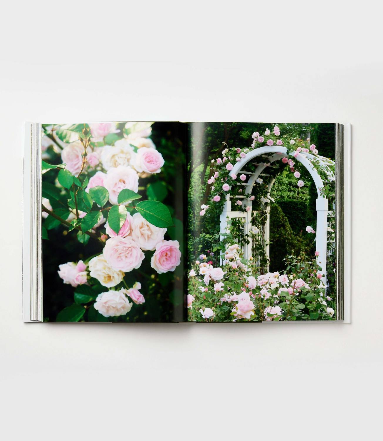 Glorious Gardens
