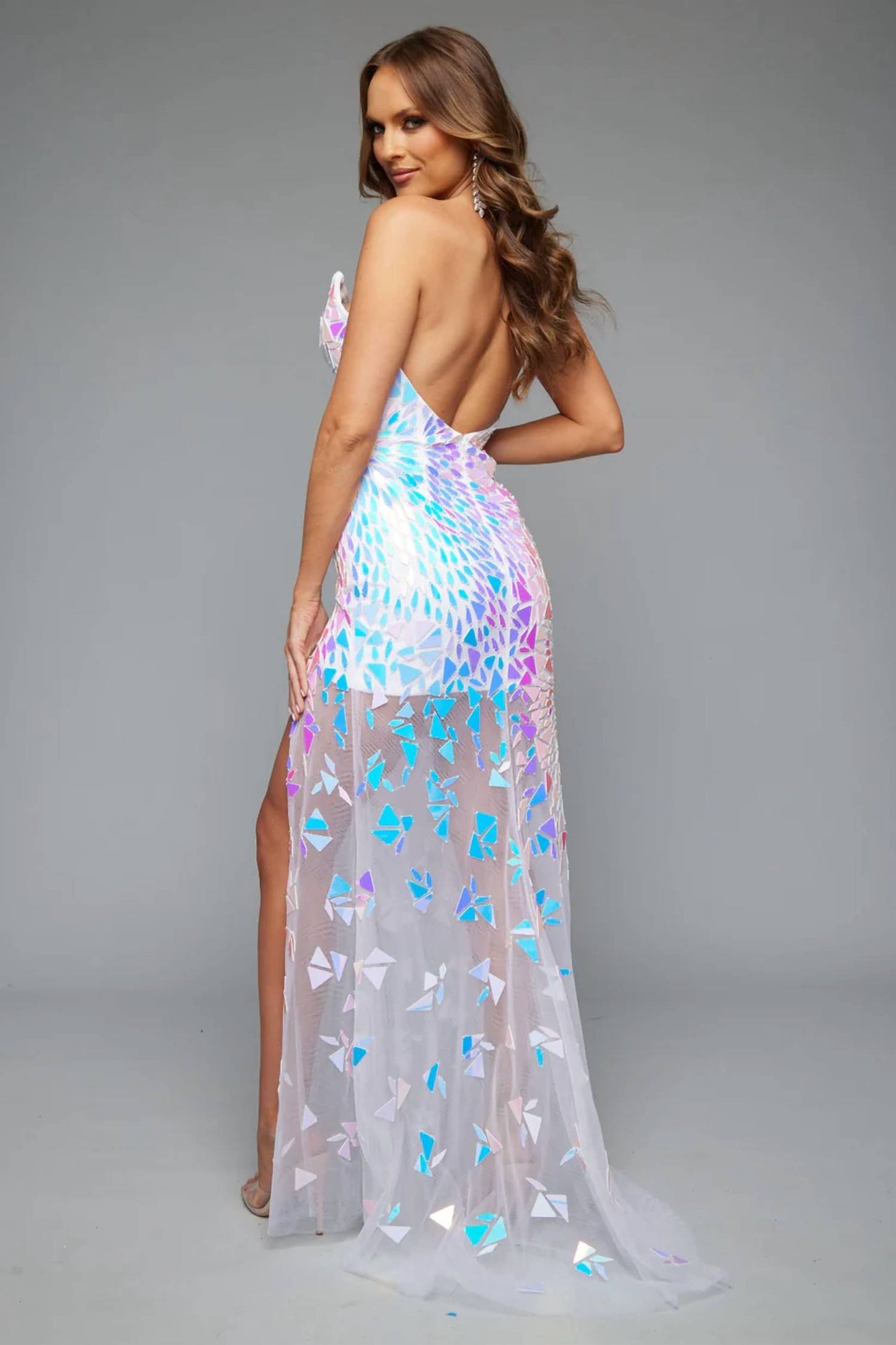 Holographic Sheer Overlay Dress