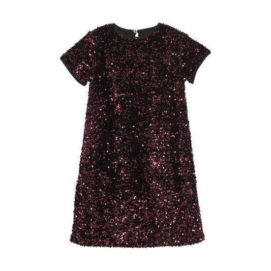 Velour Sequin Dress