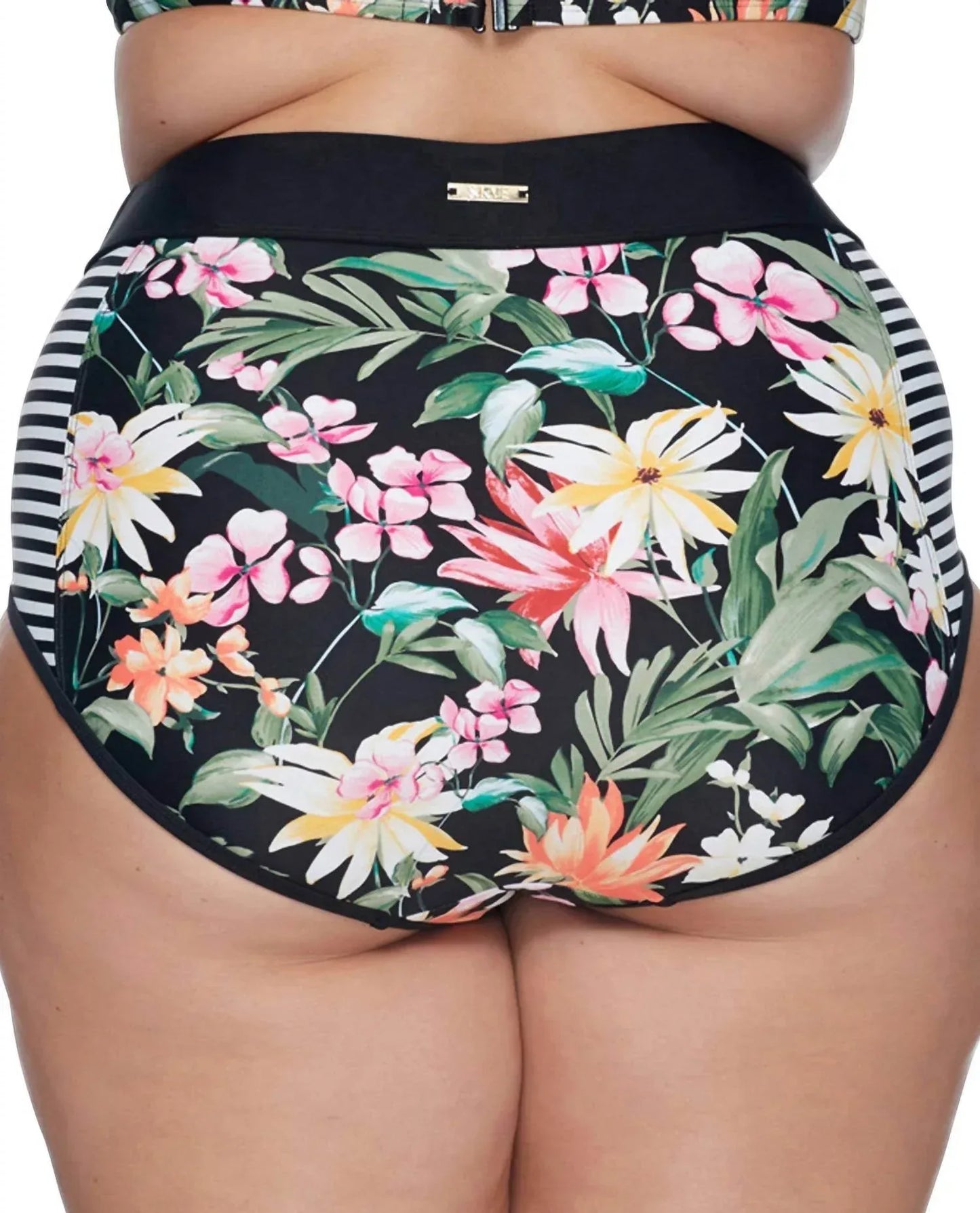 SKYE - Waverly High Waist Bikini Bottom - PLUS - Rack Hunt