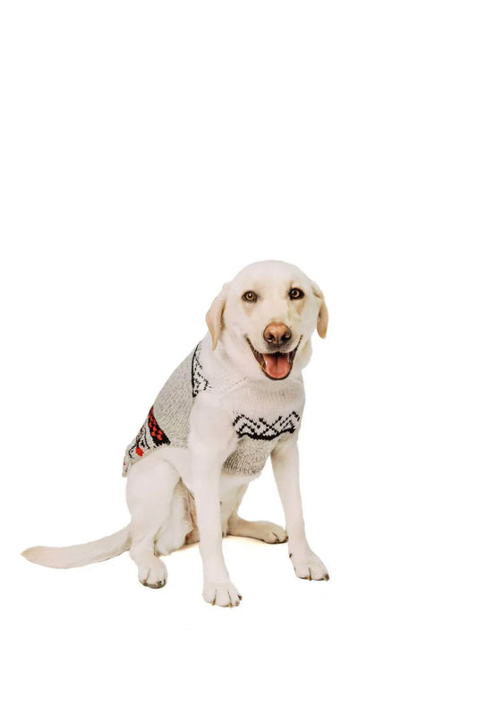 Chilly Dogs - Bunny Patrol Dog Sweater - Rack Hunt