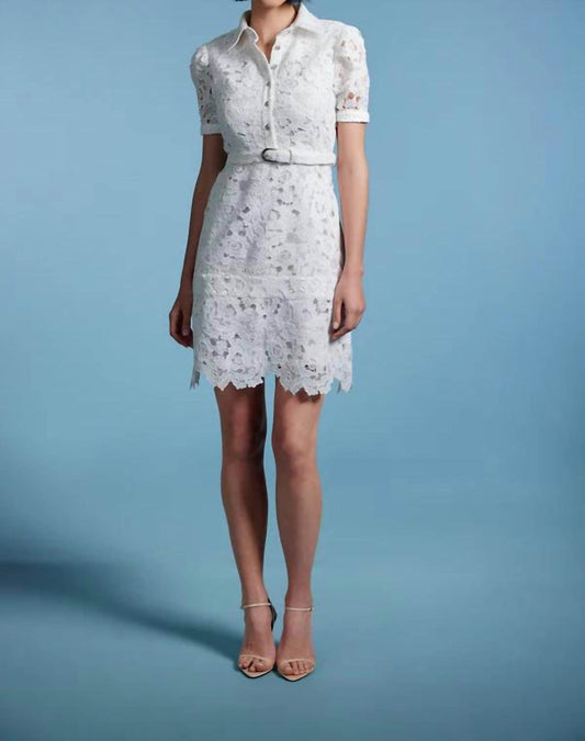 Sasha+Z - Guipure Lace Dress - Rack Hunt