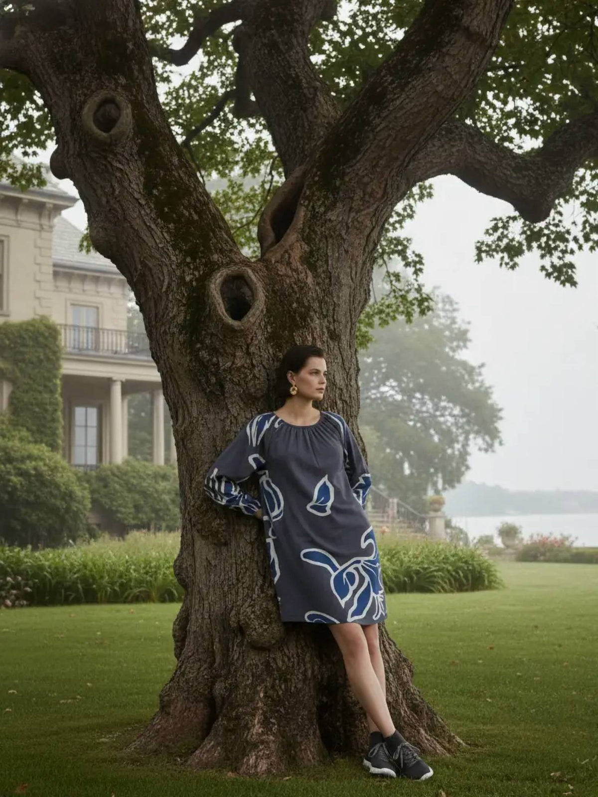 Balloon Sleeve A-Line Dress
