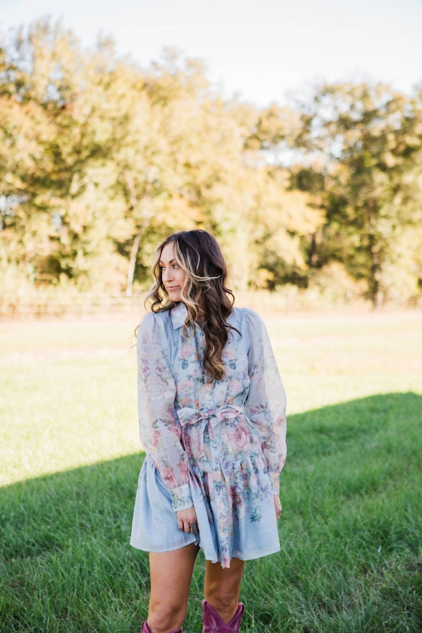 Aspen Long Sleeve Dress