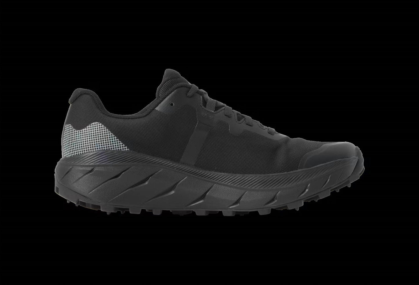 Women's Arcus 2 Bugrip Gtx Shoes