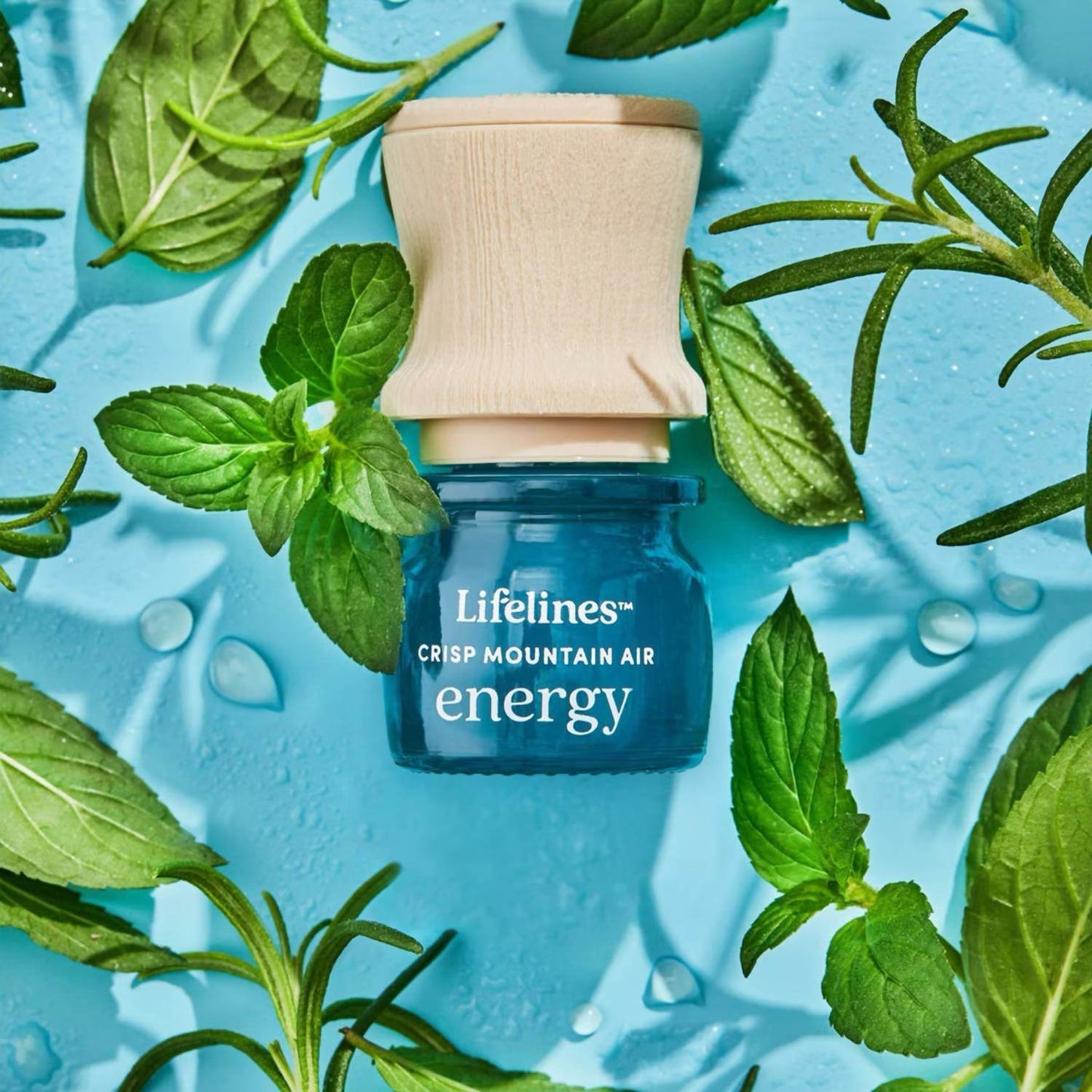 Lifelines - Sensory Immersion Gift Set - Rack Hunt -