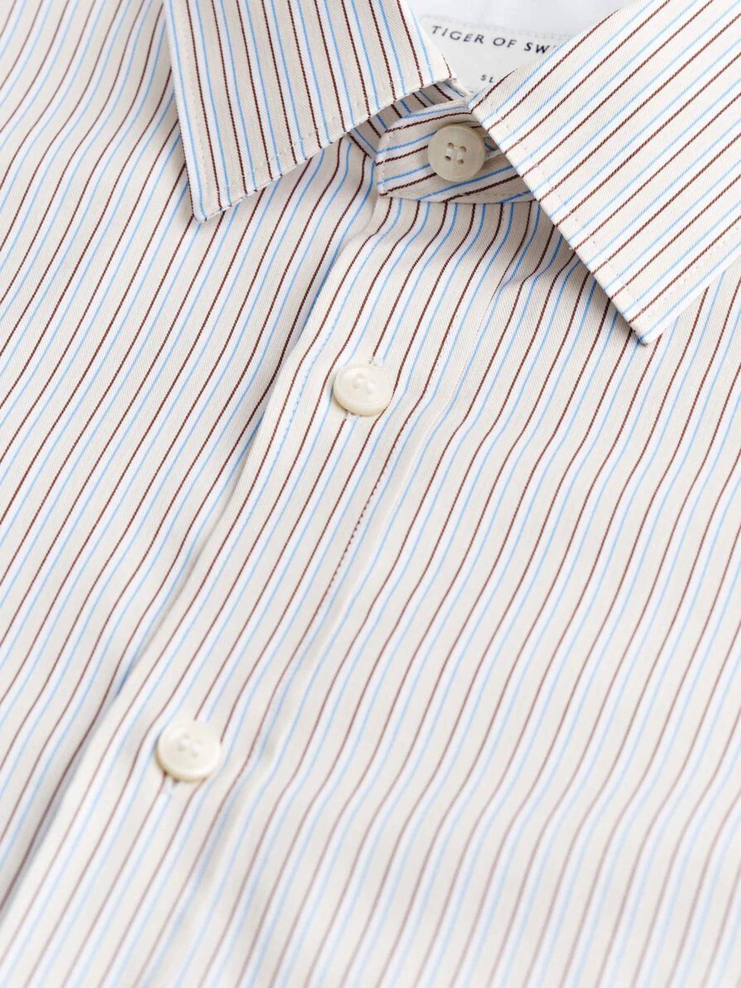 Adley Striped Dress Shirt