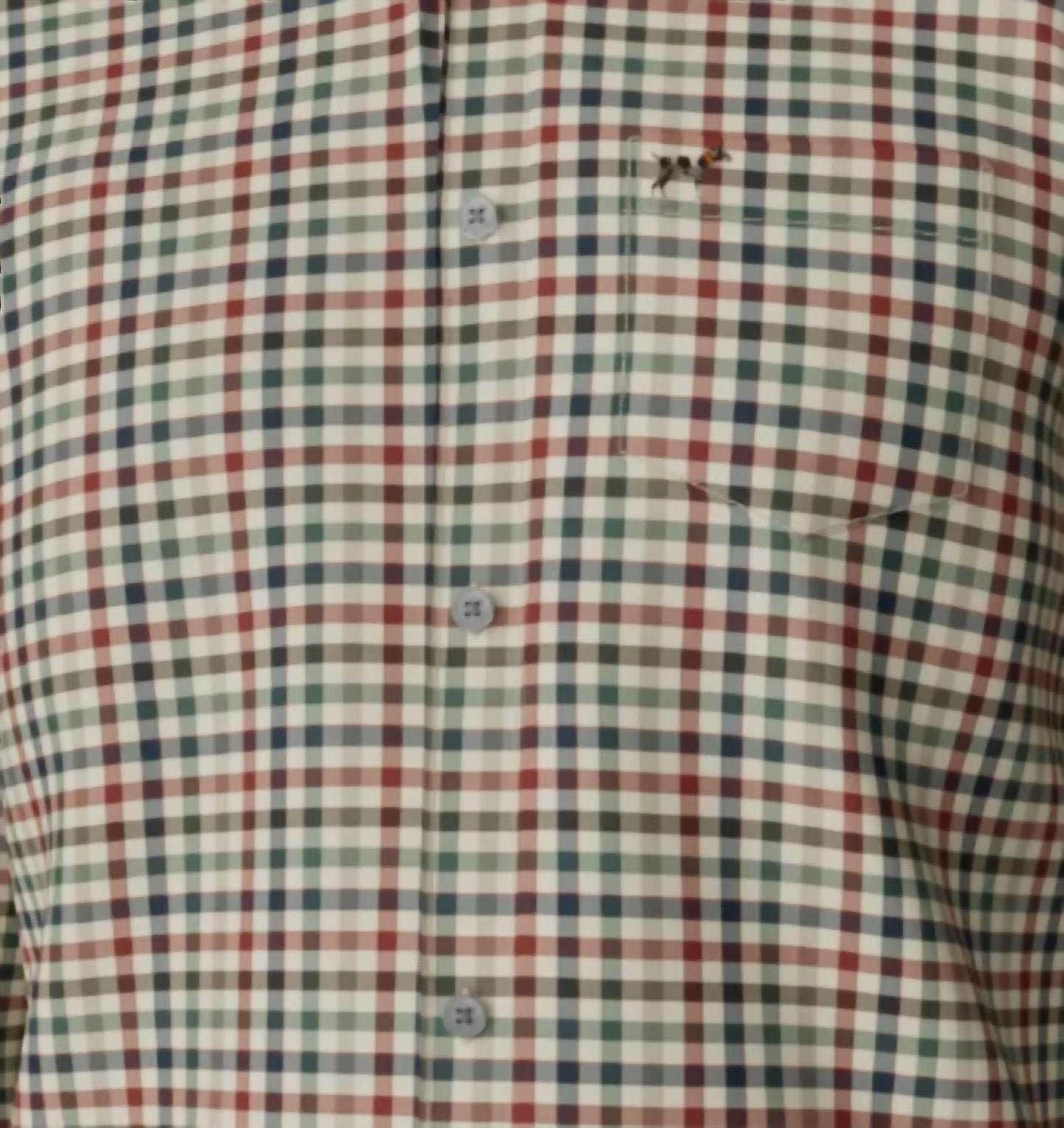 Men's Hadley Brushed Shirt
