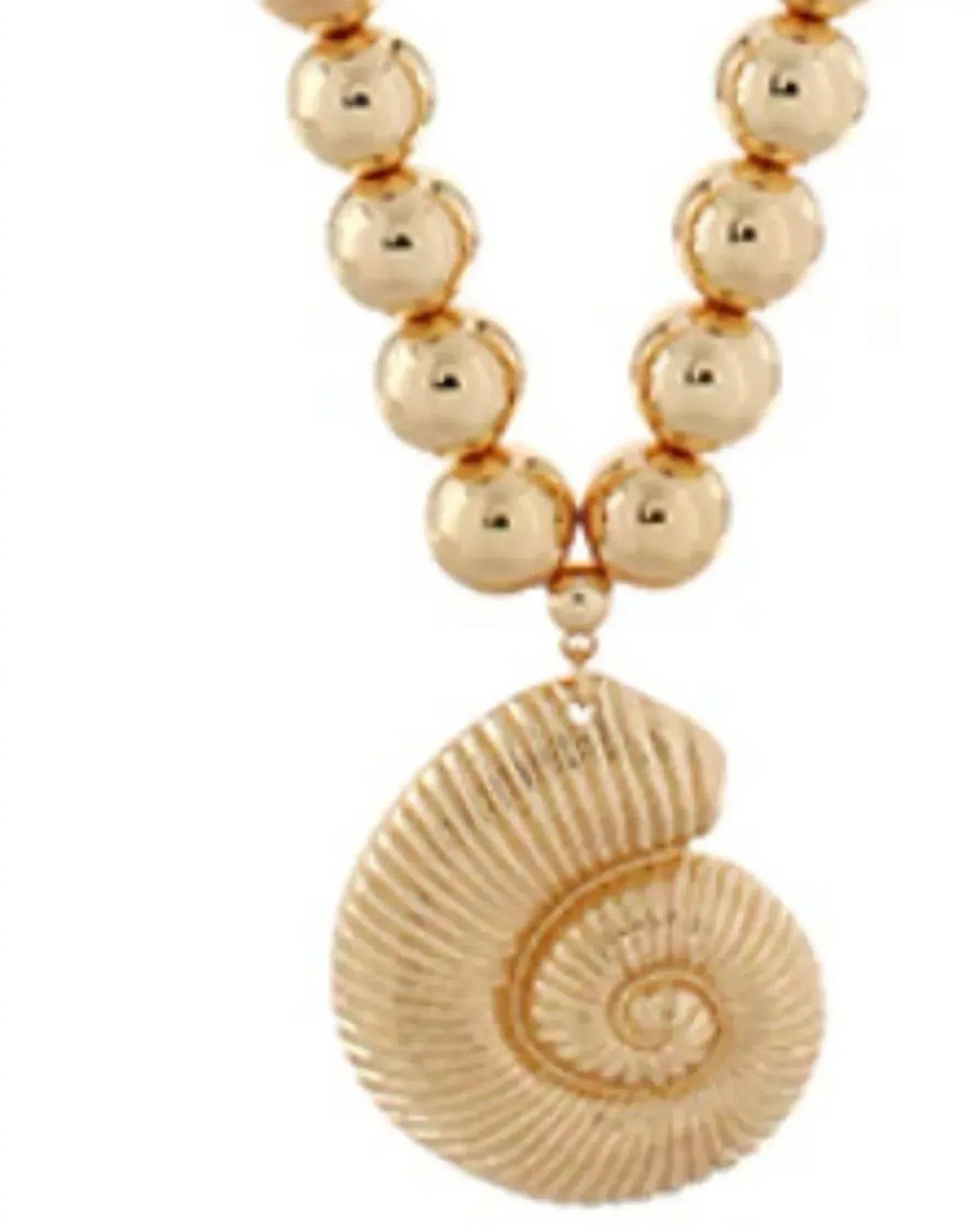 Golden Stella - Women's Sea Shell Necklace - Rack Hunt