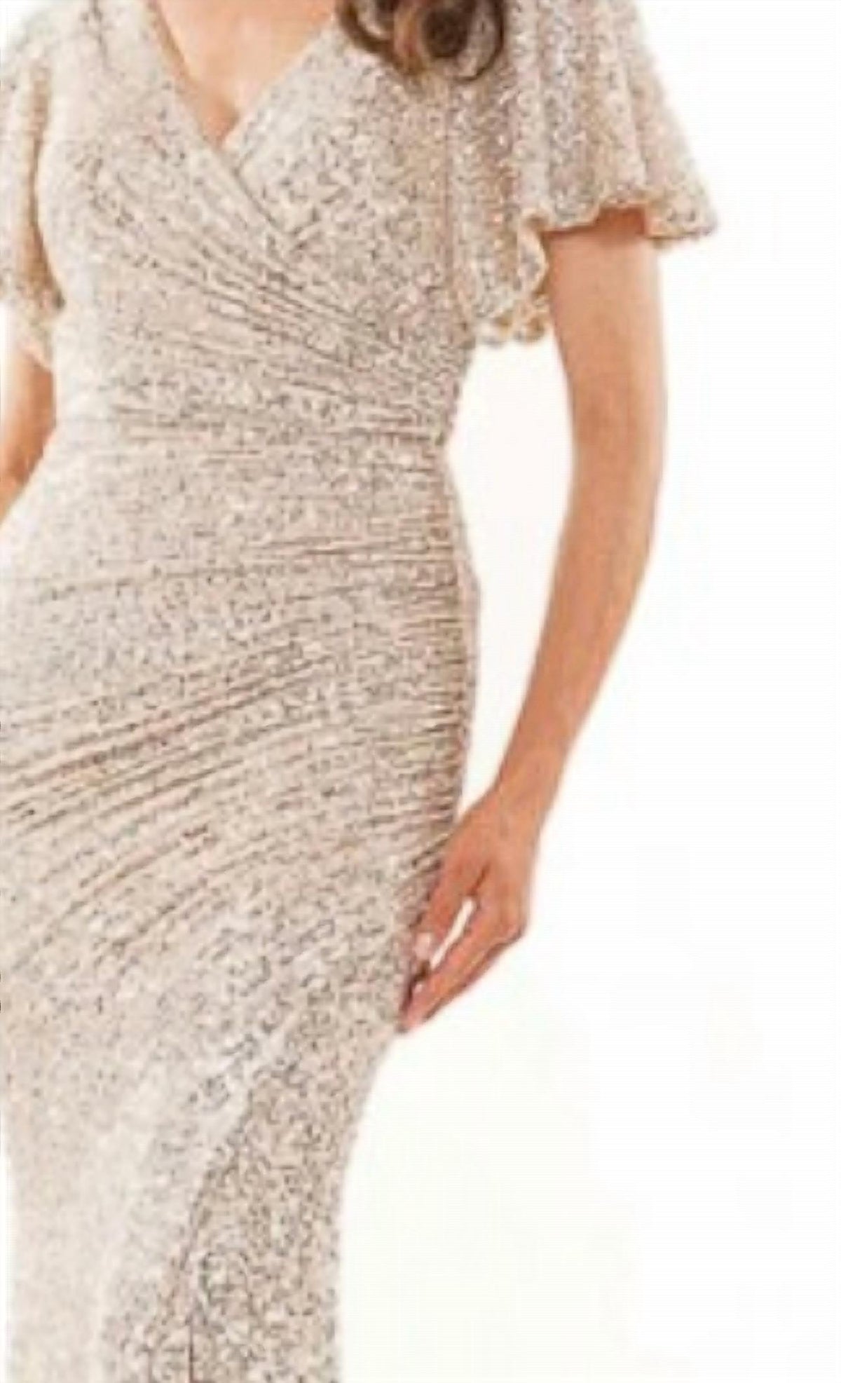 Sequin Fit And Flare V-neck Gown
