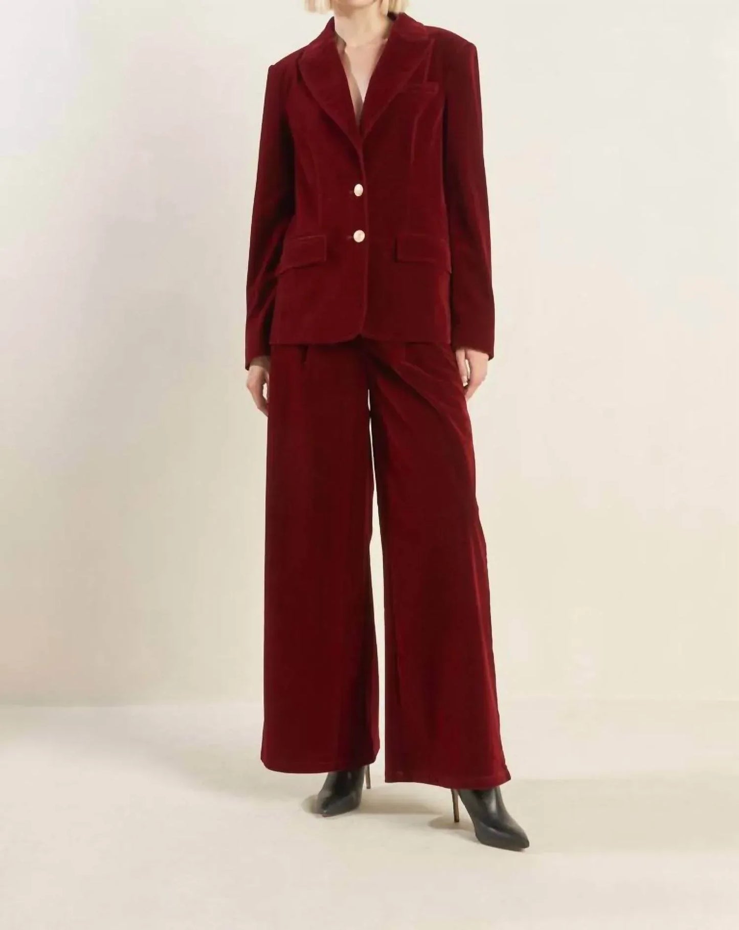 Freemarket - Coy Charm Velvet Wide Leg Pant - Rack Hunt