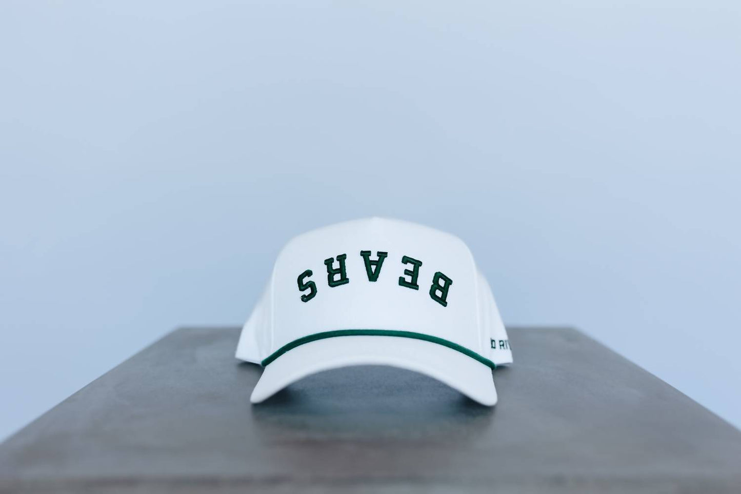 Men's Bears Upside Down Hat