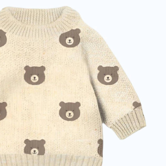 Boy's Beary Cute Knit Sweater