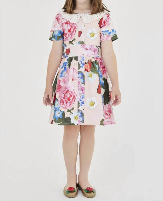Sasha+Z - Strawberry & Peonies Printed Dress - Rack Hunt -