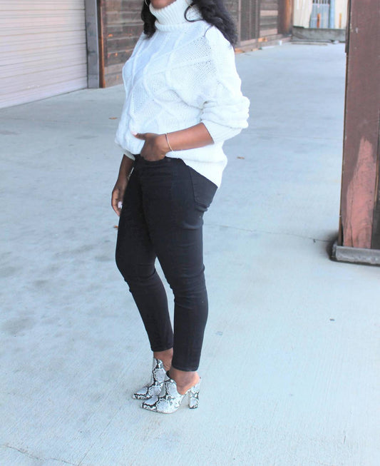 Bianca Chunky Knit Turtleneck Sweater