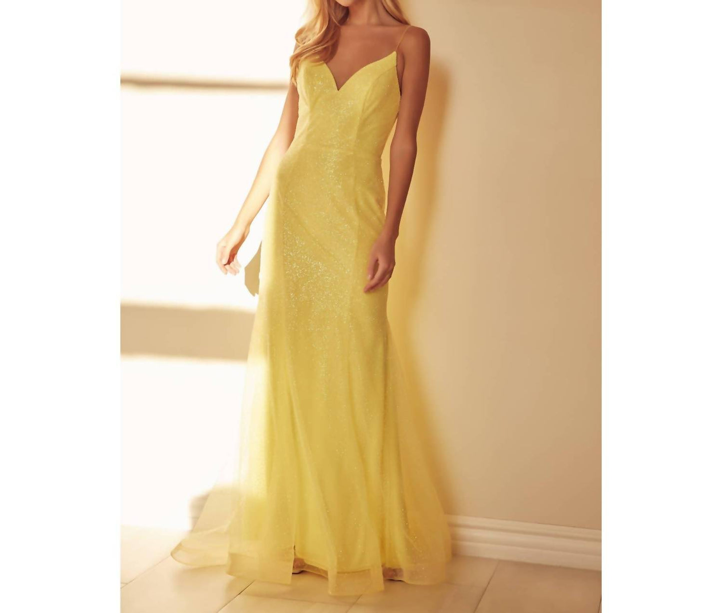 Glitter Mesh Fitted Evening Prom Gown