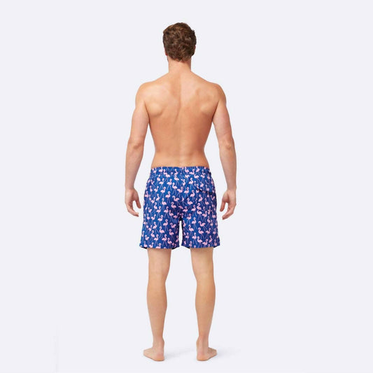 Men's Flamingo Swim Shorts
