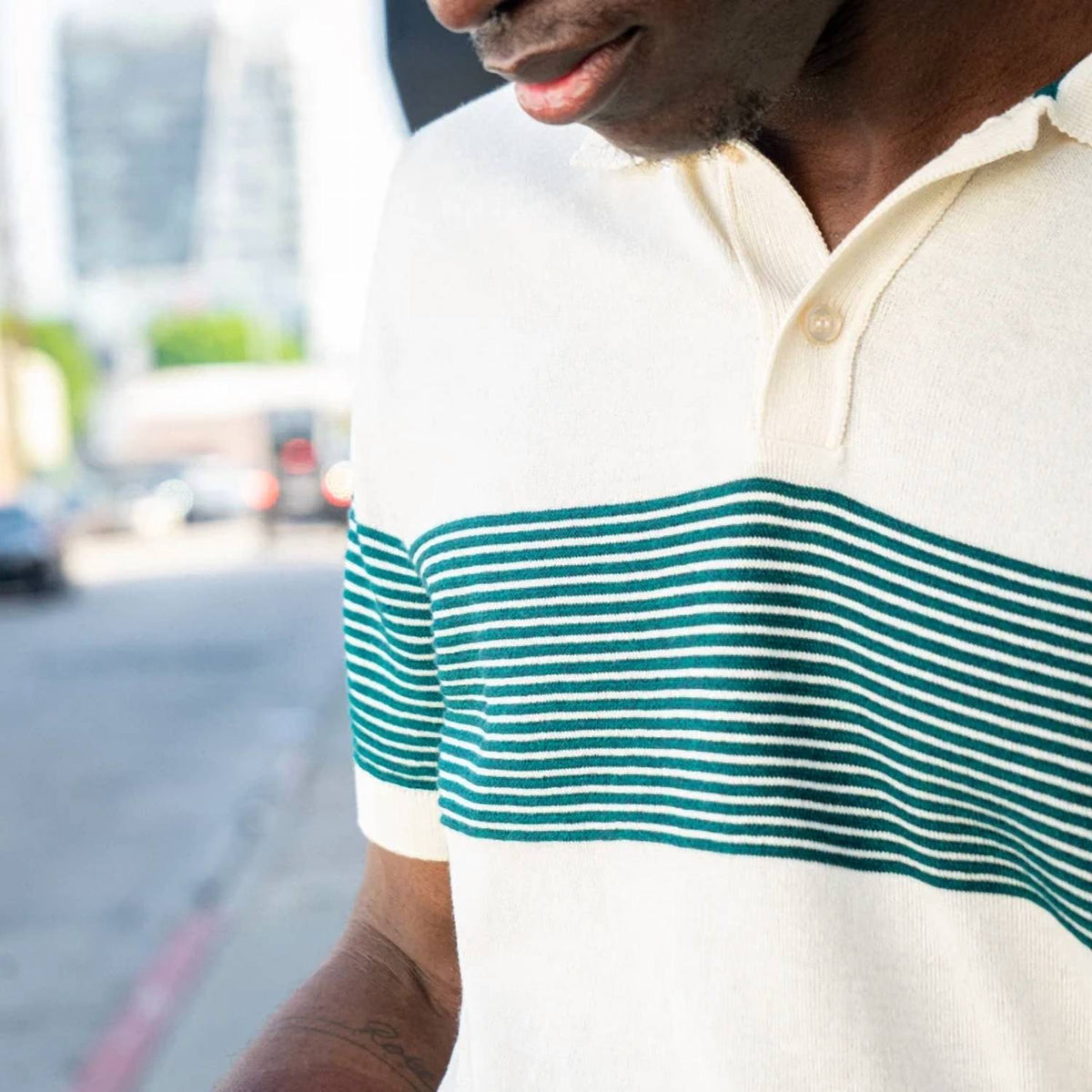 Striped Chest Knit Polo