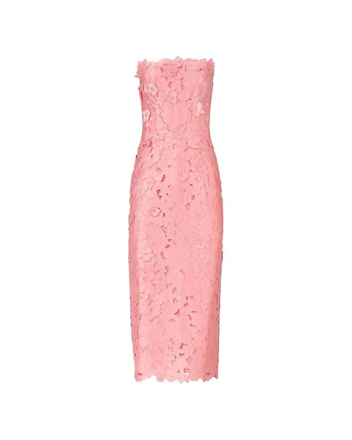 Astelle Floral Cut Strapless Dress
