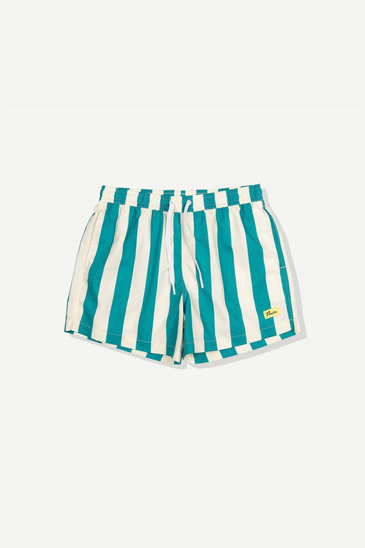 Travel Swim Shorts