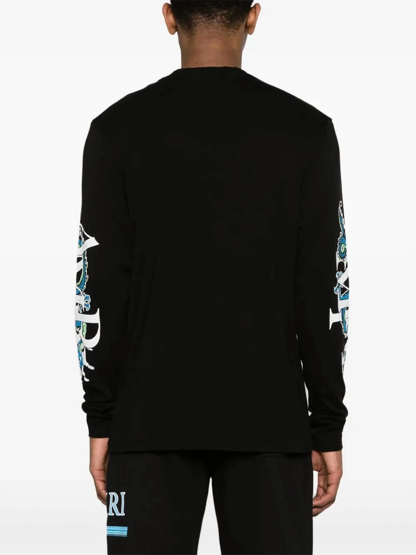 Men's Lny Dragon Long Sleeve T-shirt