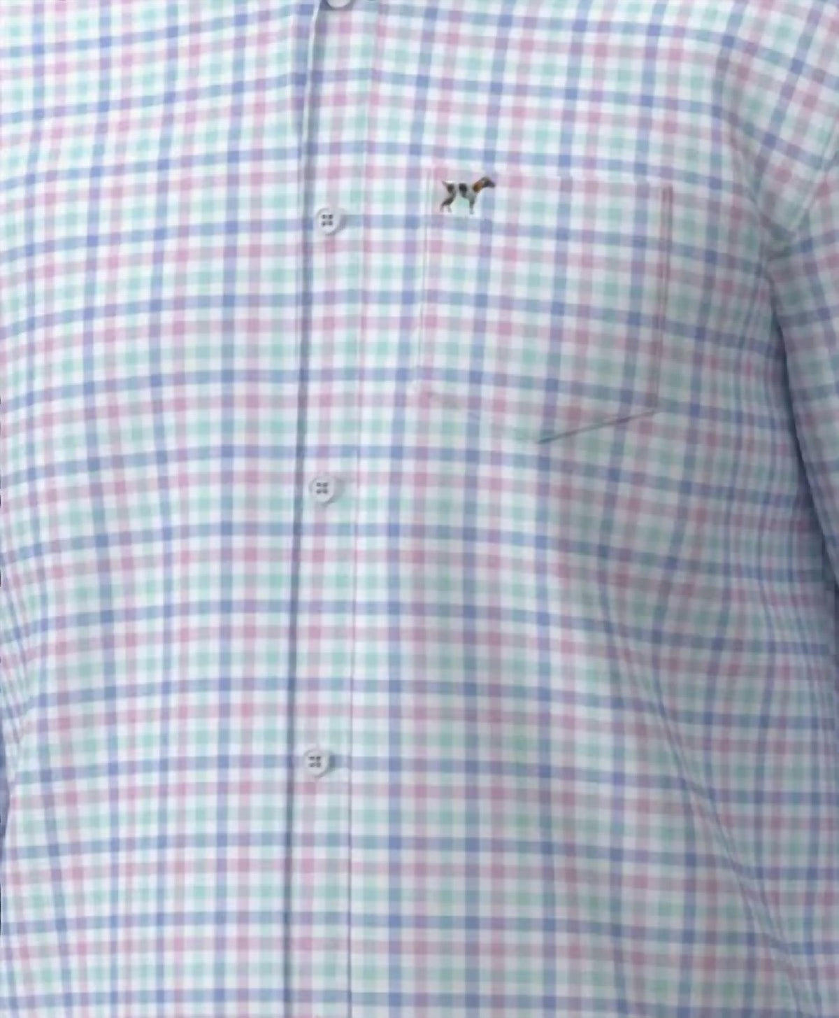 Boy's Hadley Luxe Button Down Shirt