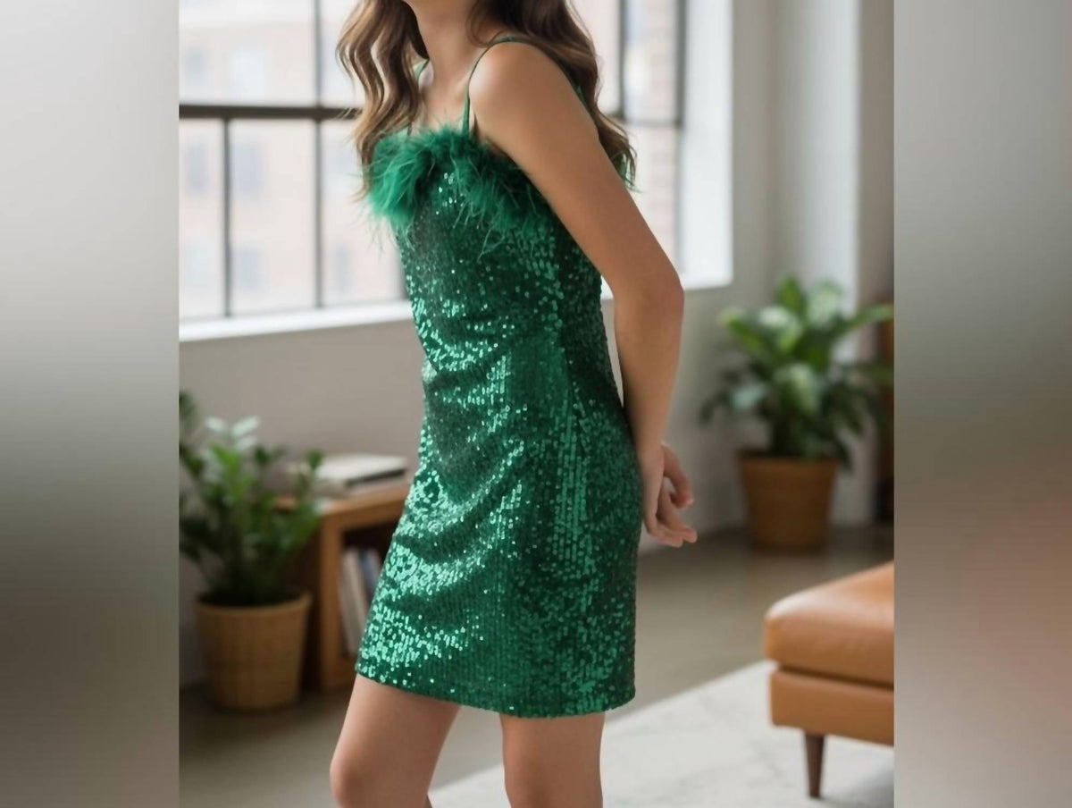 Sequined Feather Trimmed Dress