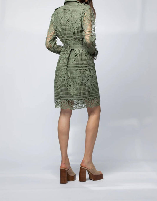 Robe Chemise Broderie Anglaise Shirt Dress