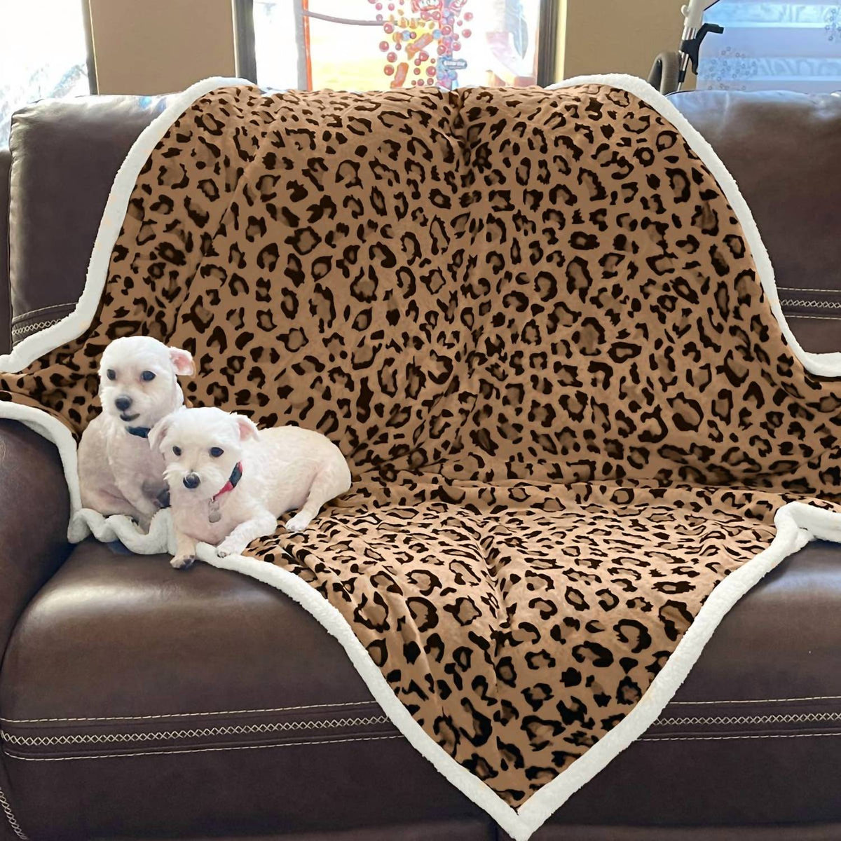 Women's Double Layered Warm Blanket