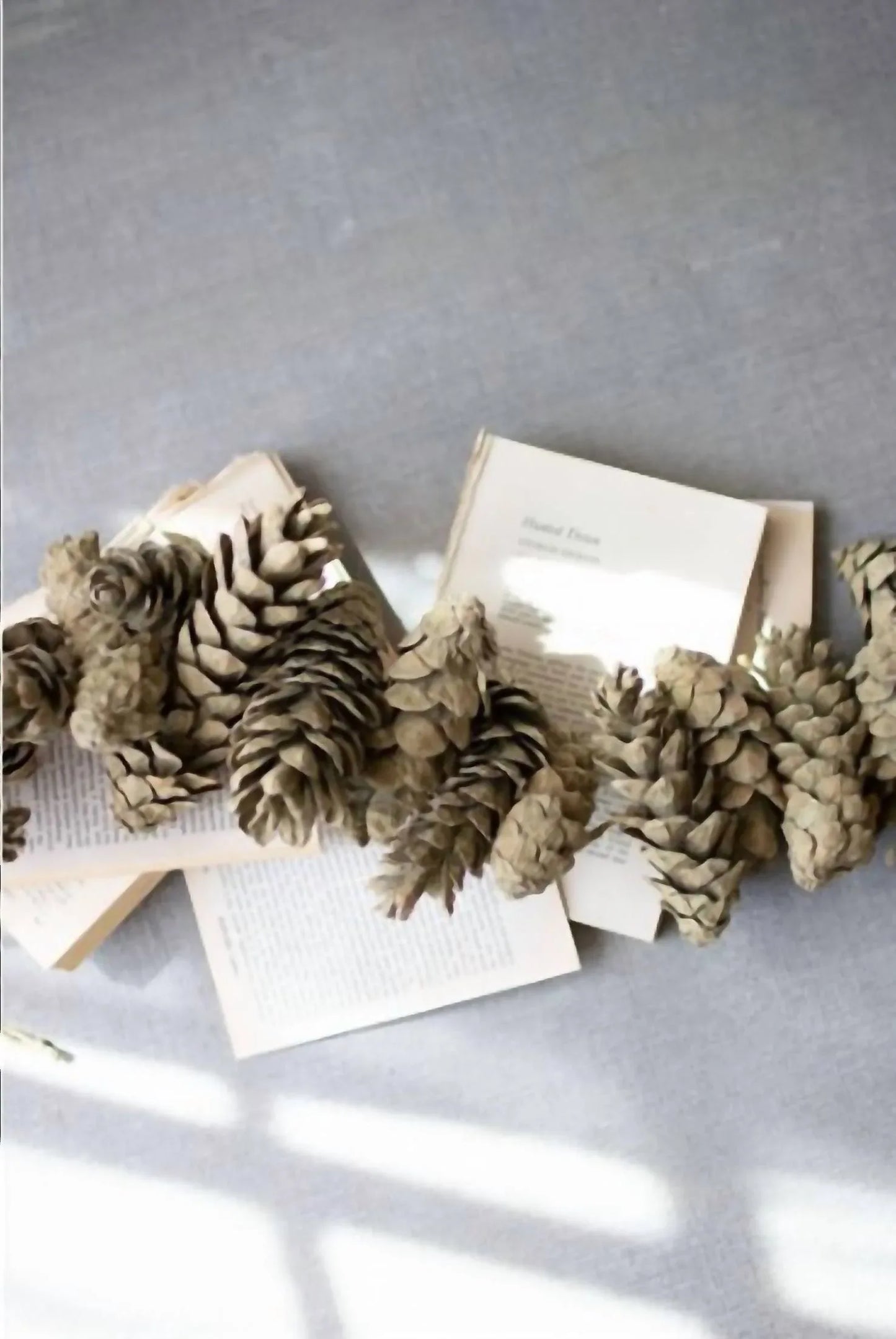 Mickler & Co. - Pinecone Garland - alternate view - Rack Hunt
