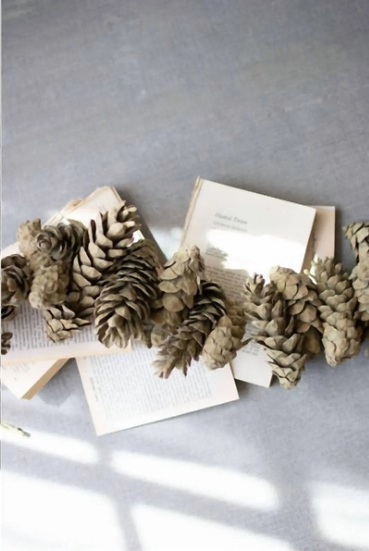 Mickler & Co. - Pinecone Garland - alternate view - Rack Hunt