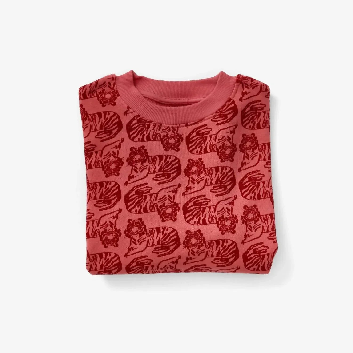 Lewis - Boy's Print Organic Cotton Sweatshirt - Rack Hunt