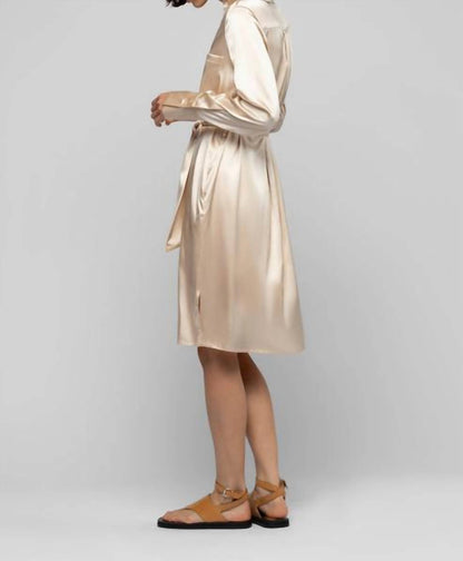 Raesa Silk Mini Shirt Dress With Leather Detail