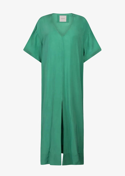 Dezi V-neck Maxi Dress